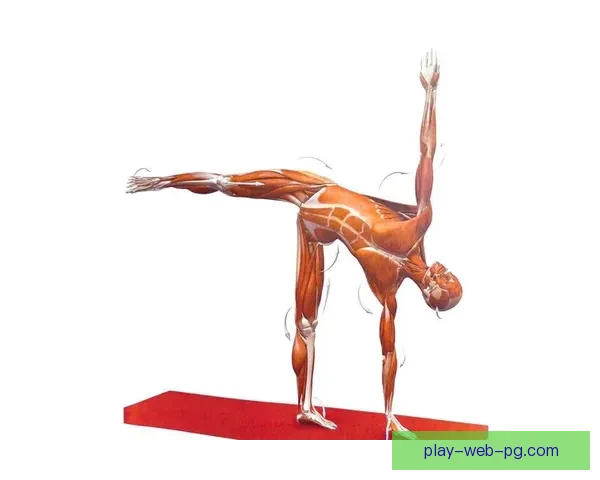 体操初学者指南：如何快速入门并掌握基本技巧