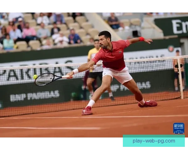 全面解读网球公开赛的历史与趣闻