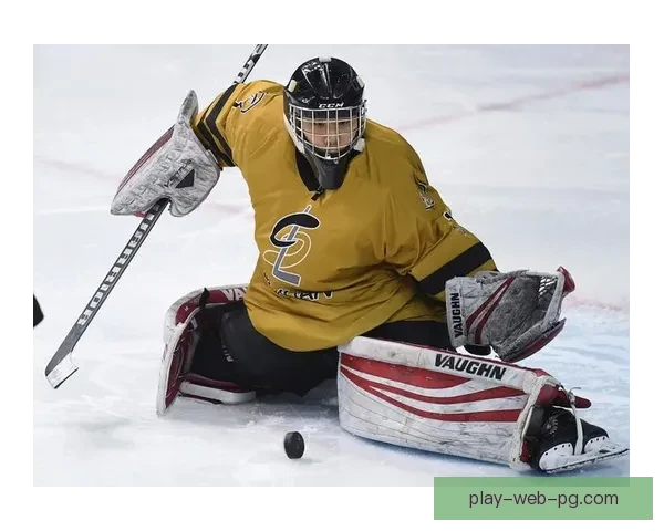 学会冰球技巧，轻松掌握比赛攻防，提升冰球水平