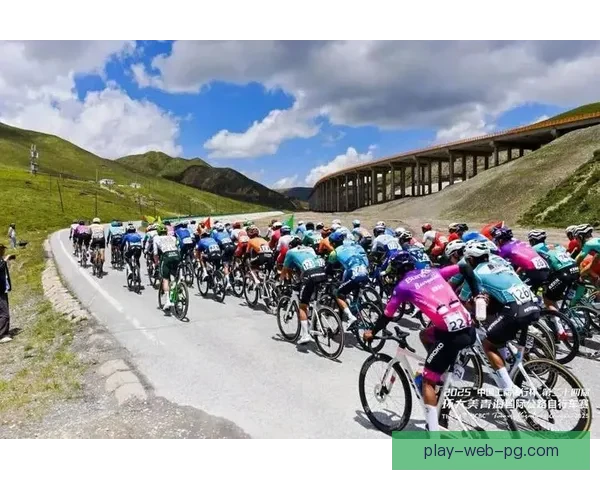 山地自行车杯赛：挑战自我，征服高山