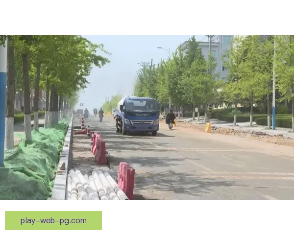 帆船赛事预测：风向标下的冠军之路