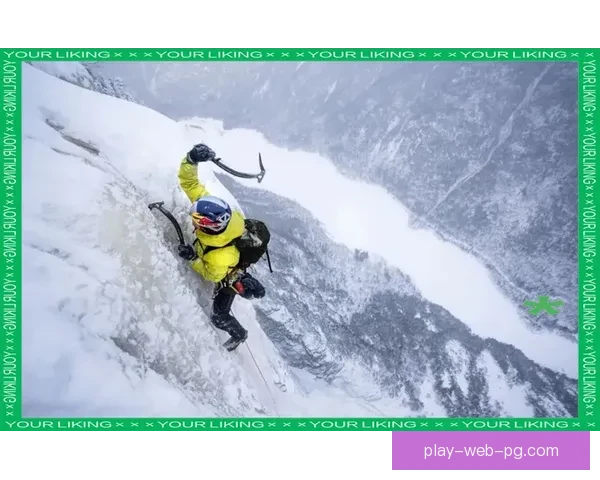 征服高峰：挑战极限的登山竞赛