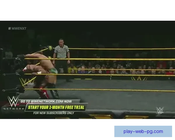 摔跤数据解析：打造胜利之路