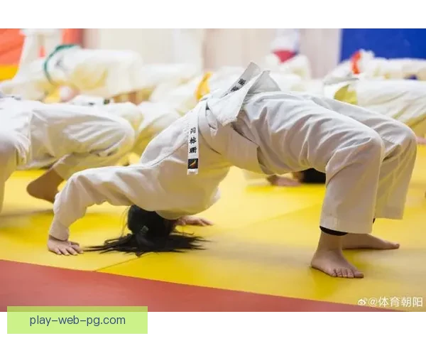 柔道联赛：砥砺拼搏，争霸巅峰
