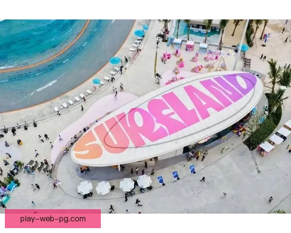 潮玩时刻：冲浪直播乐趣分享