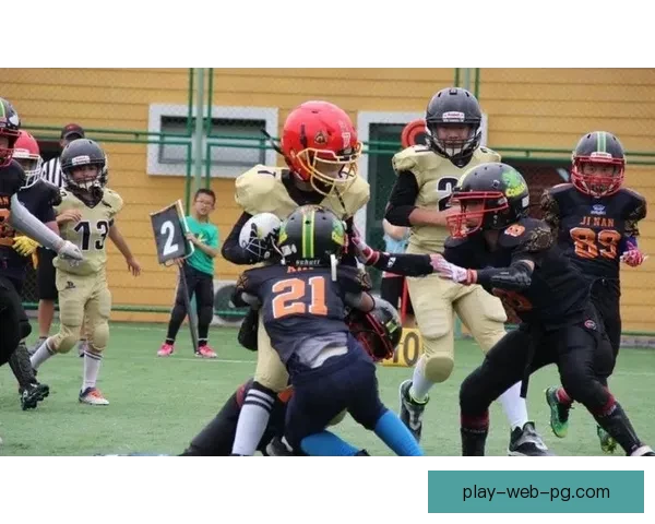 激情回放：橄榄球赛场瞬间回顾