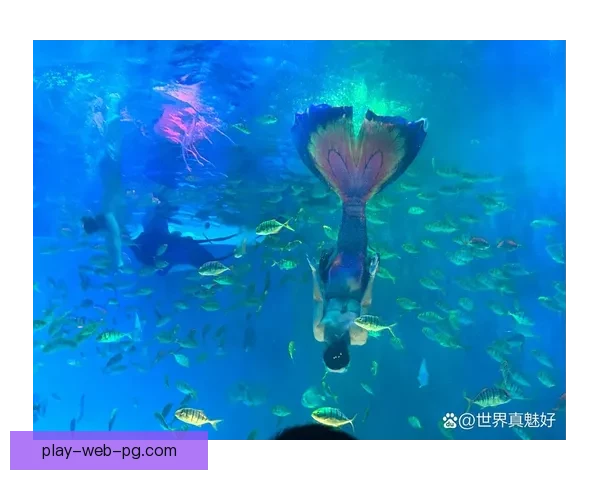 畅游直播间，水下乐园新体验