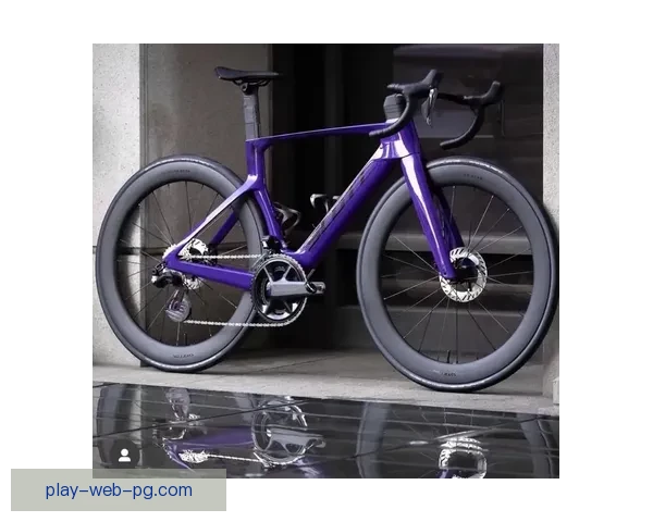 自行车排名全球领先：探索骑行世界的魅力