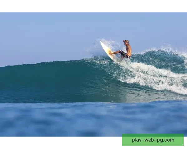 翻滚海浪，争先冲浪：2021冲浪比赛精彩纷呈