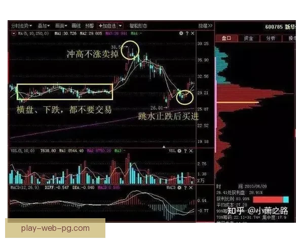 跳水盘口分析：技术、心理、经验，揭秘背后的玄机