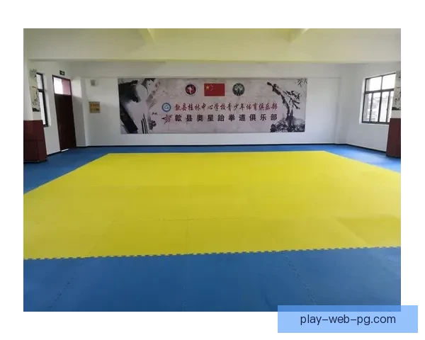 跆拳道投注技巧全面解析